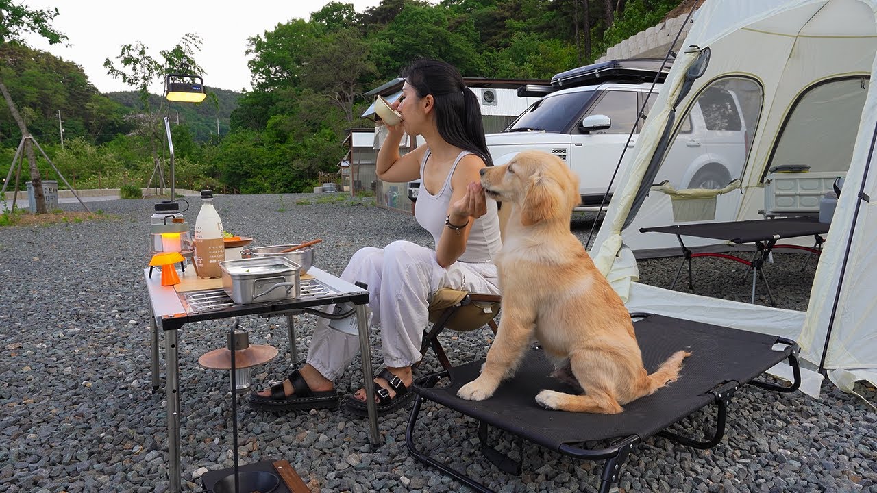 [288] Война с клещами | Кемпинг с золотистым ретривером.