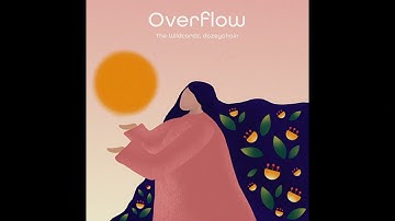 Overflow by The WildCardz - Extended Version