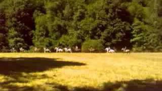 Pee Galopade Matinale