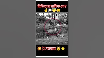 😇☝️রিজিকের মালিক কে?... আল্লাহ🥀🌹🥰 #عبدالرحمن_مسعد_تلاوة_جديدة #عبدالرحمن_مسعد