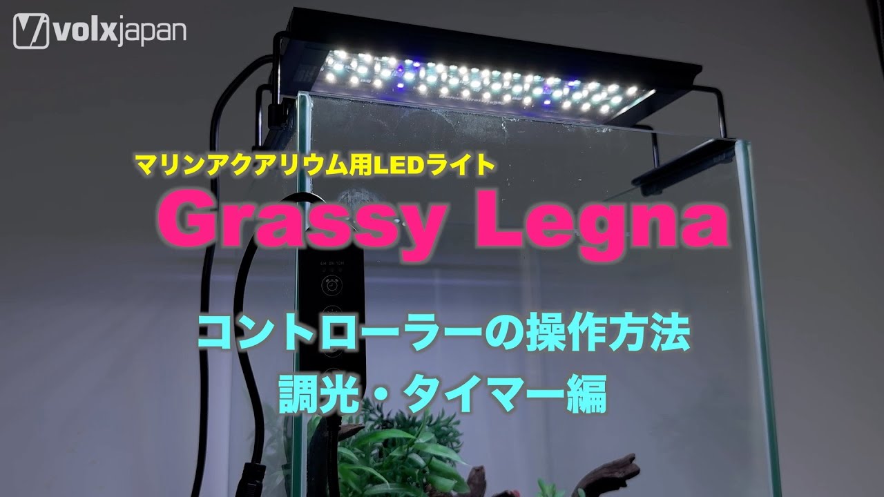 Grassy Legna Marine 60　Flatタイマーセット ボルクスジャパン Grassy Legna Marine 60 タイマー付き 水槽 ライト