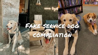 Fake service dog compilation!