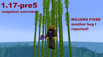 1.17 Pre-Release 5 | MOJANG FIXED Another Bug I REPORTED! 🐼 | Minecraft 1.17 Caves & Cliffs Update
