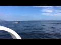 Cigarette 2x475 hp 80 knots