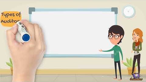 aud339 Introduction of auditing