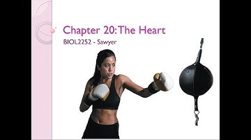 Chapter 20 Lecture Video