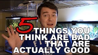 5 Misunderstood Beneficial Things In Aquariums @JeremyGoneWildPets