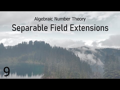 Algebraic Number Theory