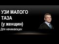 Эхосемиотика структурных изменений органов малого таза: яичники