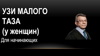 Эхосемиотика структурных изменений органов малого таза: яичники