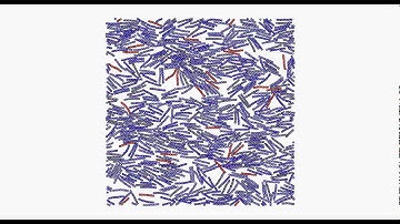 active nematic simulation