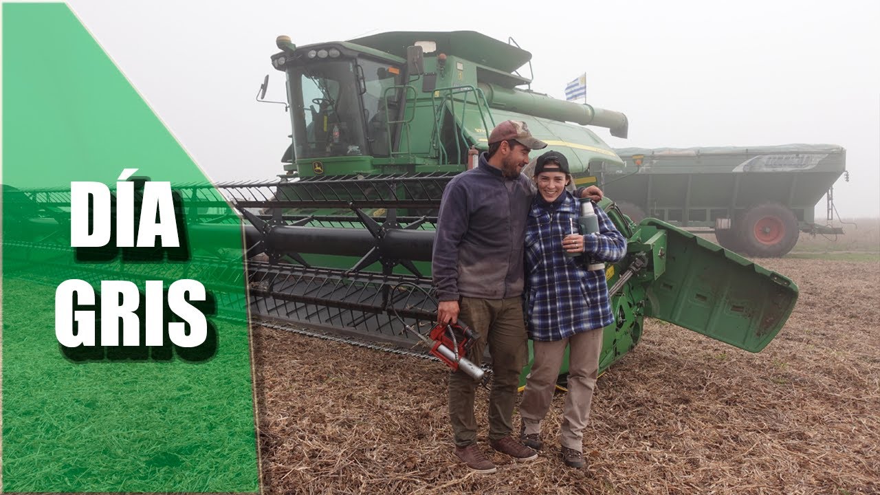 Pasa de todo en nuestros días - Cosecha de soja #3