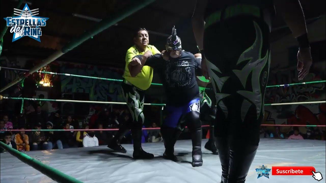 asics tiger gel sneakers