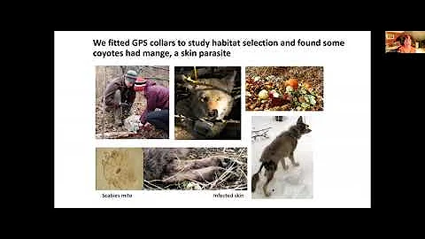 Contributors To Conflict And Coexistence With Urba...