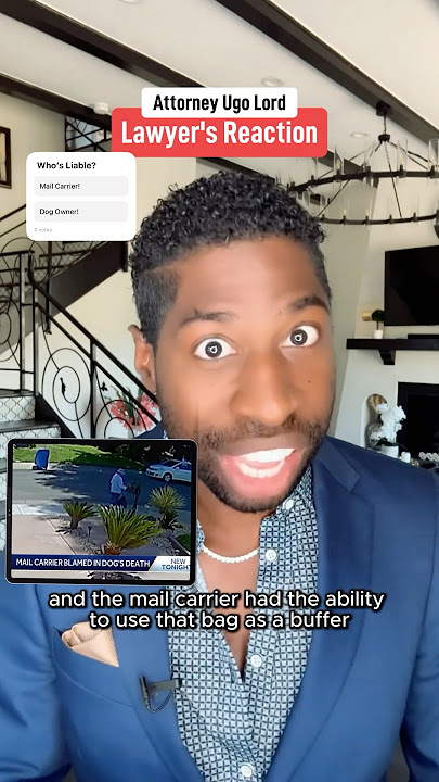 Mail Carrier Throws Rock at Barking Dog—Dog Later Dies! Who’s Liable? Attorney Ugo Lord Reacts!