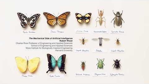 Le Lab presents The Mechanical Side of Artificial Intelligence with Robert Wood