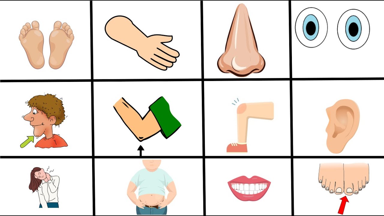 Kids Vocabulary Body Parts Of The Body Learn English For Kids Kids Vocabulary Body Parts Of The Body Learn English For Kids