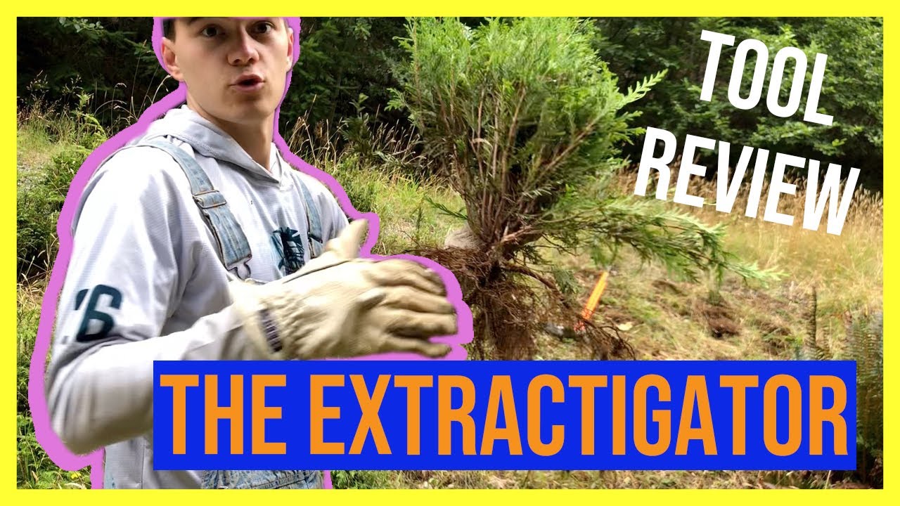 The Extractigator! TREE PULLING MAGIC - YouTube