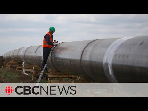 Russia cuts natural gas to Poland, Bulgaria