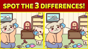 Spot The 3 Differences | Japanese Pictures #41