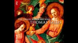 Spem In Alium (Thomas Tallis) - Tallis Scholars