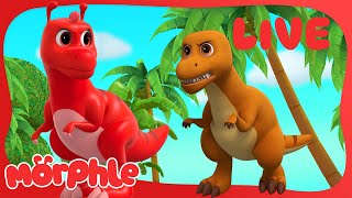 🔴 LIVE Morphle Marathon! | 24/7 Cartoons for Kids | Dino Adventures and Fun Stories 🦖🦕