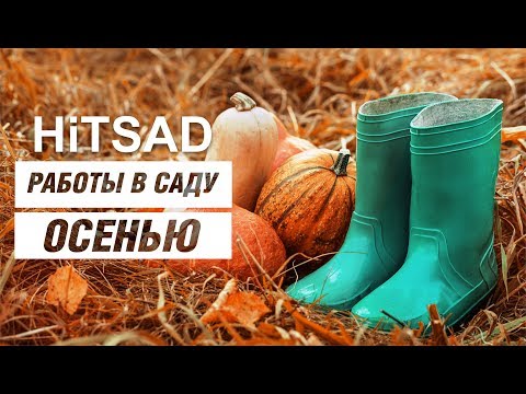 Какая работа должна быть выполнена в саду в августе?