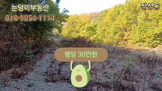포항 도심 임야 매매
