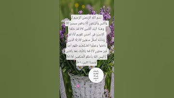 سورة التين🩷 #دعاء #اكسبلور #تيك_توك #allahuakbar #ترند #quran #لايك #حالات_واتس #كلام_من_ذهب
