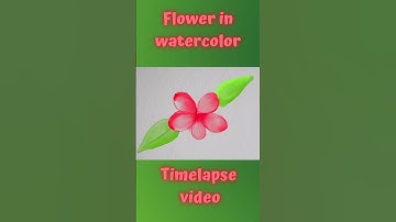 Beautiful Pink flower in watercolour on Procreate - Timelapse video