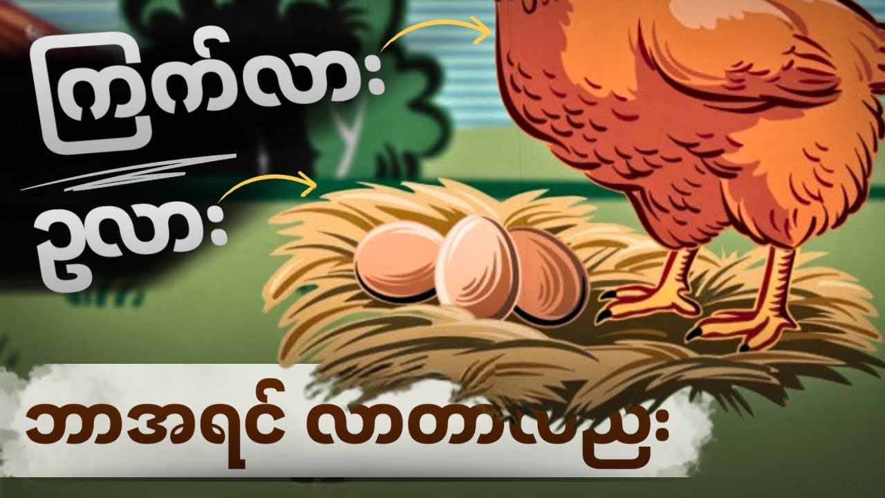ကြက်ဥ နှင့် ကြက်မ ဘယ်ဟာကအရင်လာတာလည်း (အဖြေအမှန်)