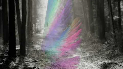 Rebirth - Jan Young