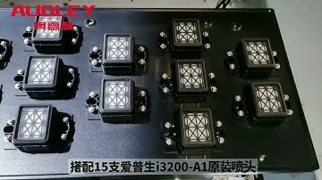 15 heads Audley Sublimation Printer