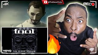 TOOL - Right In Two (Audio) REACTION || THENEVERENDERREACTS