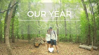 2017: Our Year So Far