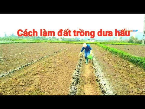 Video: Gia công kim loại: loại và phương pháp