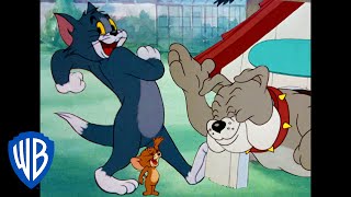 Tom y Jerry en Español | La noche divertida | WB Kids