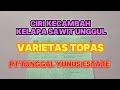 Ciri dokumen asli kecambah kelapa sawit topas pt tunggal yunus estate agungppl