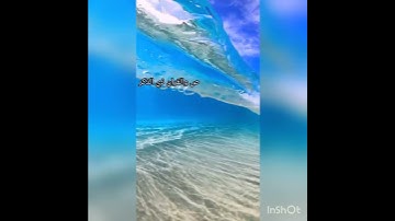 قران كريم | حالات واتس اب | بصوت الشيخ مشاري العفاسي