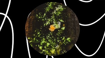 Enivrèz Vous - Unsolved [UTR050]