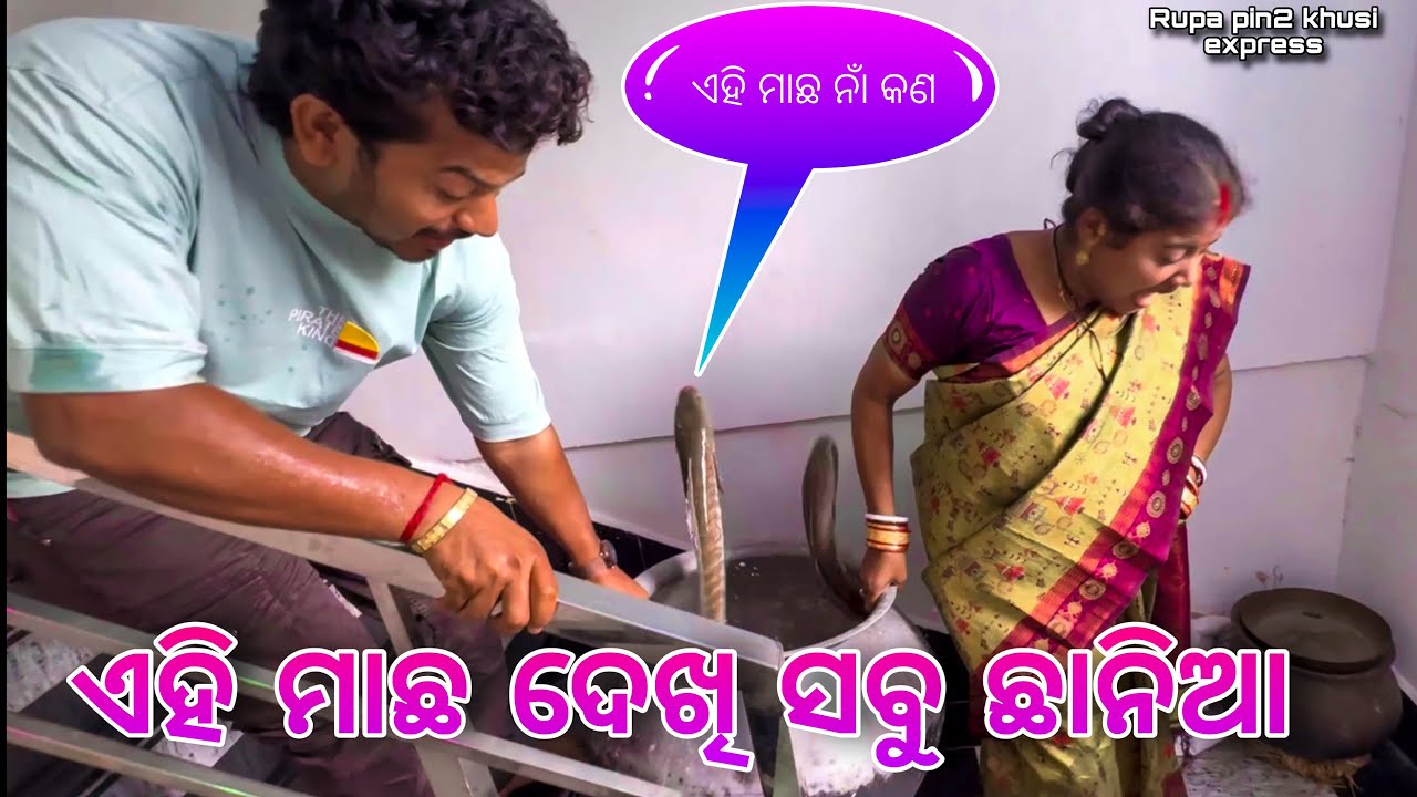 ଏହି ମାଛ ଦେଖି ସବୁ ଛାନିଆ / Rupa Pin2 Khushi