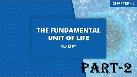 Fundamental Unit of Life|| CLASS 9 CBSE SCIENCE ||Chapter 5|| Part 2|| CBSE NCERT
