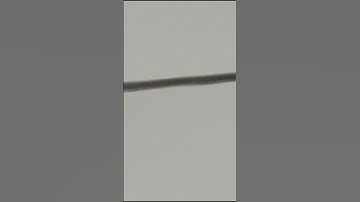 the perfect loop doesn