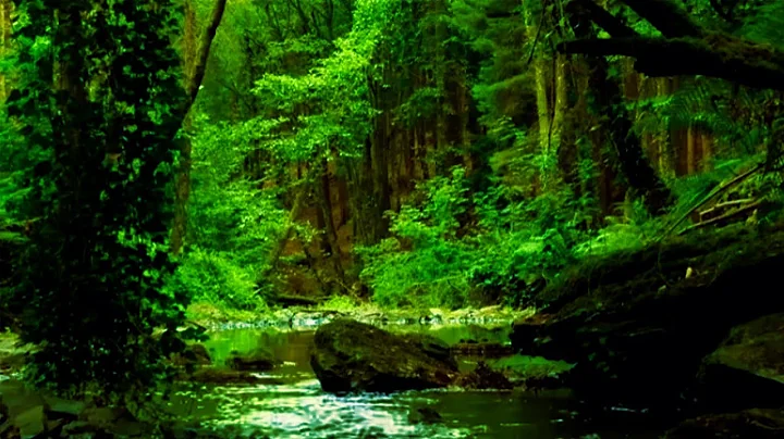 8 HOURS OF RELAXING NATURE SOUNDS AND GENTLE BIRDSONG