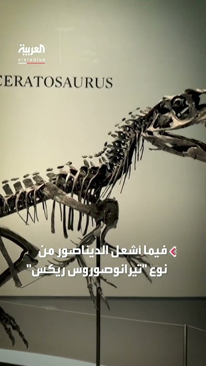       
 - نشر قبل 2 ساعة