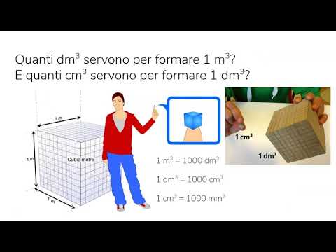 Video: Immagini A Risonanza Magnetica E Misure Del Volume, Della Proporzione E Della Distribuzione Longitudinale Del Tessuto Contrattile E Non Contrattile Nei Muscoli Flessori Dorsale E P