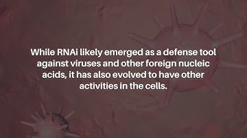 DISE: Ancient Anti-Cancer Mechanism Sensing Mutational Load in Cancerous Cells? | Oncotarget