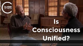 Tim Bayne - Is Consciousness Unified?