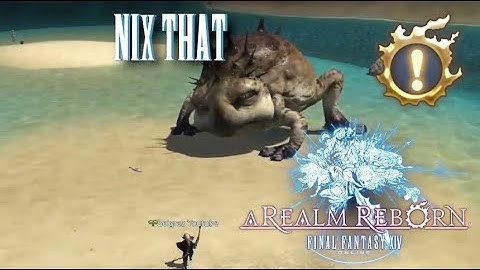 Nix That - Final Fantasy XIV - A Realm Reborn