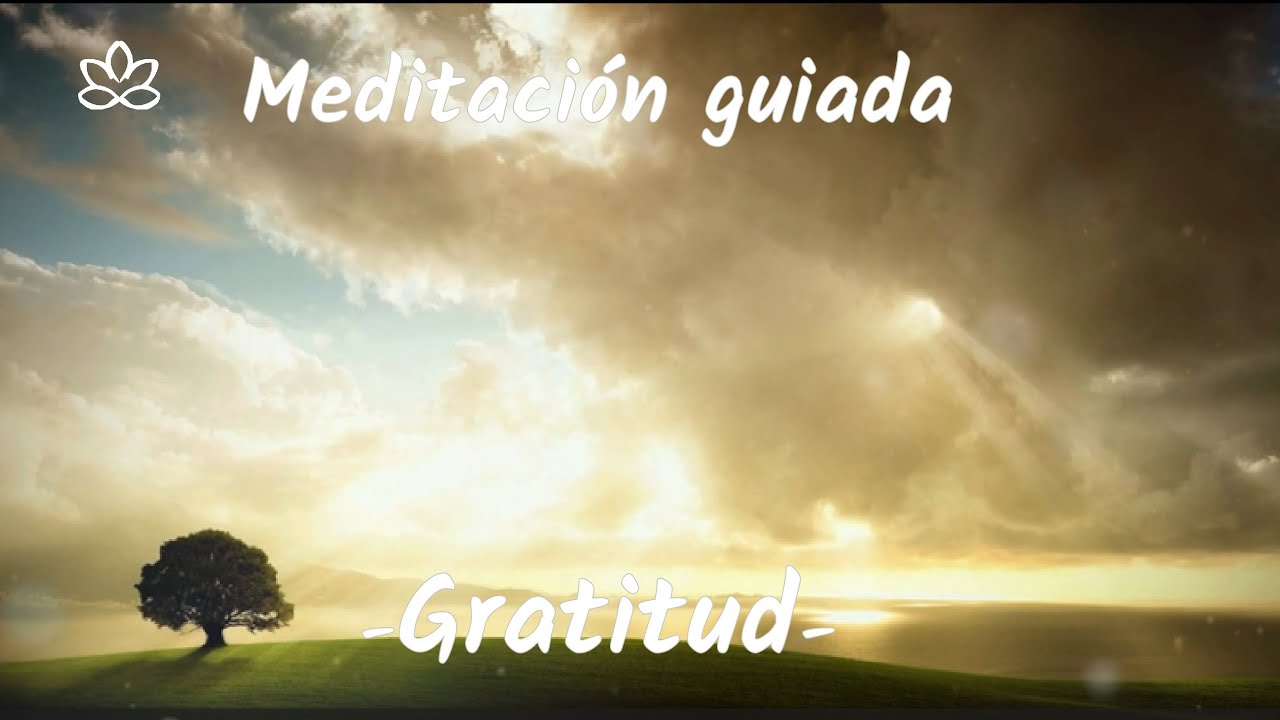 Meditación guiada matutina de GRATITUD. Transforma la frecuencia en tu ...